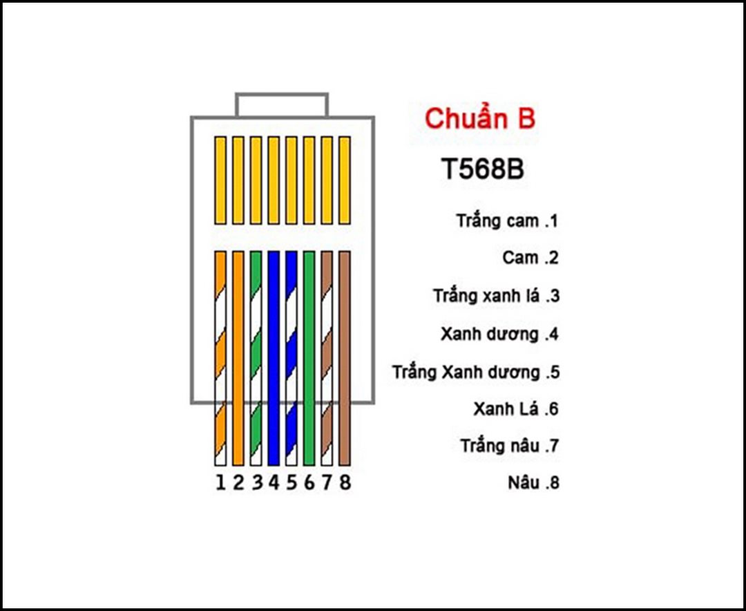 Thiết lập mạng