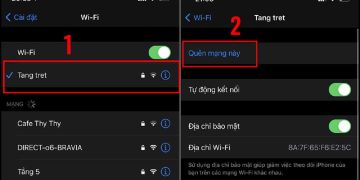 Quên mạng WiFi trên iOS